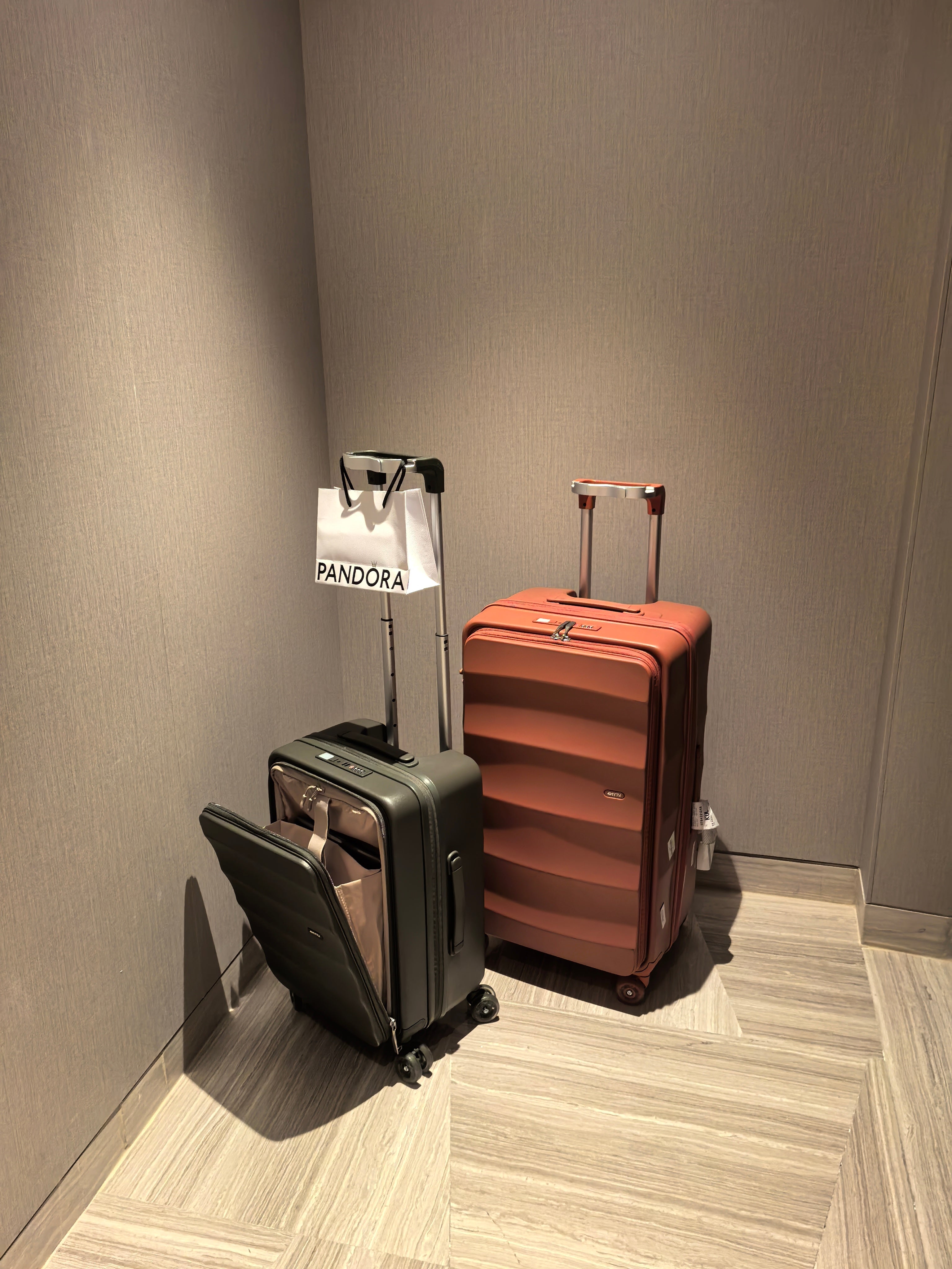 Sustainable Travel Tips: How Durable Luggage Can Help You Travel Eco-Consciously